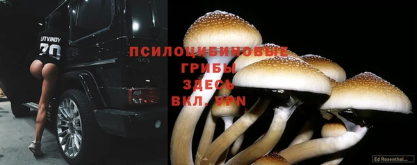 марки lsd Верея