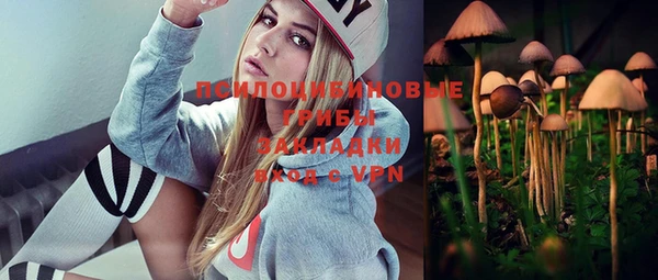 mix Бородино