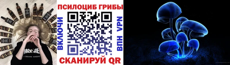 хочу наркоту  Вяземский  kraken   Галлюциногенные грибы ЛСД 