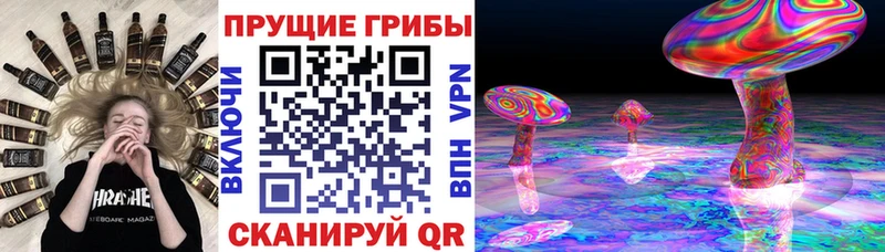 Псилоцибиновые грибы Psilocybine cubensis Вяземский